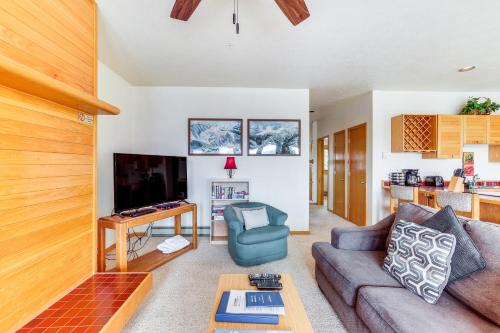 Mountain View Condo in Summit County about Hike and Ski! - main image