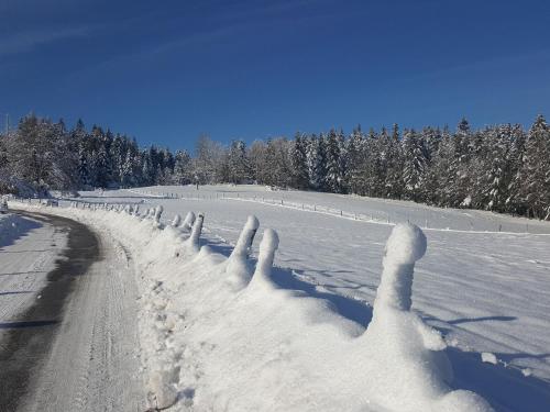 Gîte Le Tholy, 2 pièces, 2 personnes - FR-1-589-384