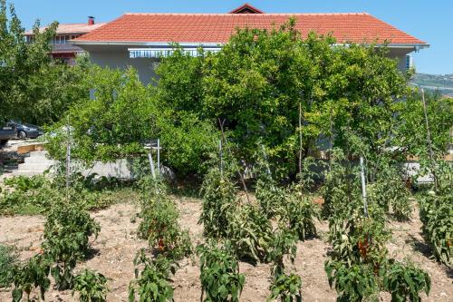 Seaside holiday house Kastel Stafilic Kastela - 22438 - image 5