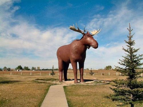 Cozy Studio Downtown Parking Coffee Location in Moose Jaw (SK)