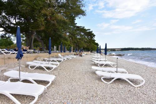 Apartments and rooms with parking space Zambratija, Umag - 22512