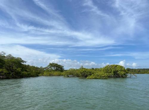 Ecolodge Batel Alagoas