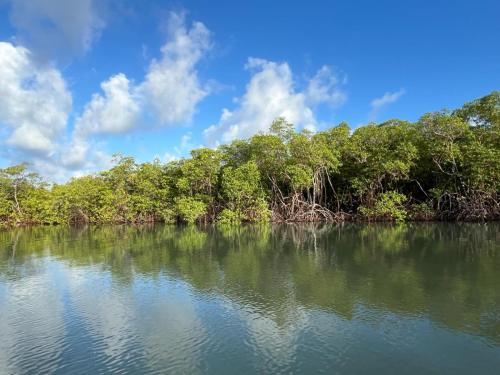 Ecolodge Batel Alagoas