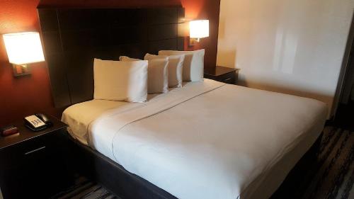 Red Roof Inn & Suites Houston – Humble/IAH Airport - image 12