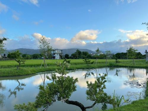 DOME Homestay - 전망