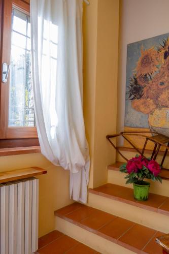 Rosso Del Chianti - image 8