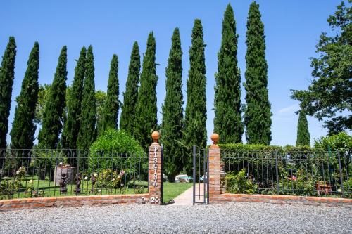 Agriturismo Palazzo Val Del Sasso - image 11