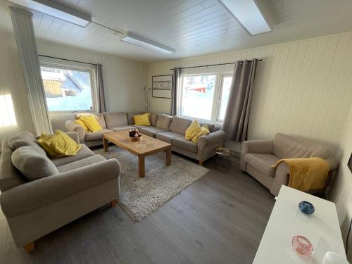 Spacious house in Trysil Spacious house in Trysil