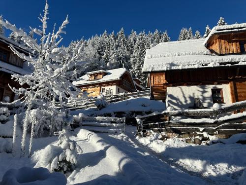 Accommodation in Donnersbachwald