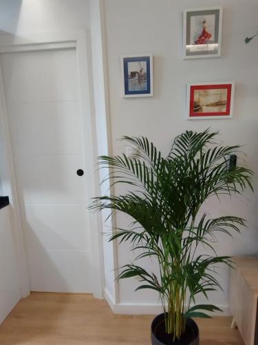 Apartamento La Carola, Bilbao (fotografie 7)