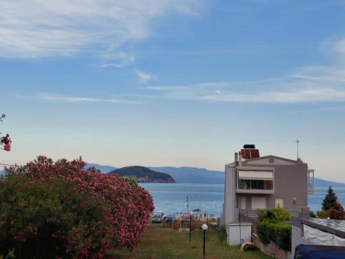 Vaade, Studio Aloe in Iraklitsa
