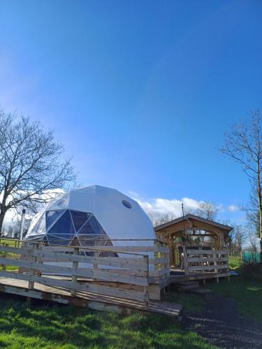 Little River Glamping 5