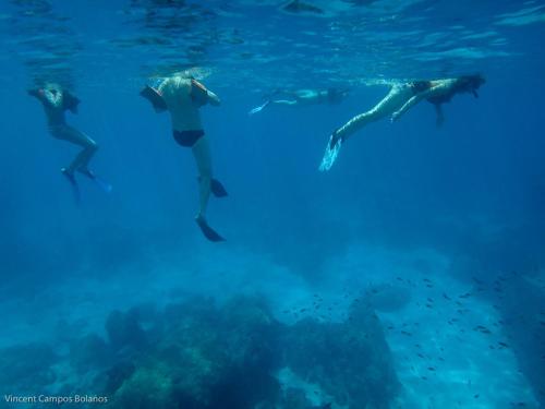 Sports and activities, Tapirus Playa in Drake Bay