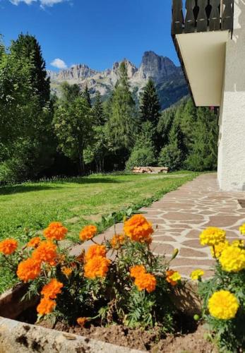  Falcade Dolomiti La Quiete piano terra, Unterkunft in Fregona