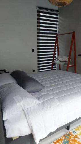 Casas Plamont, Fortuna (photo 8)
