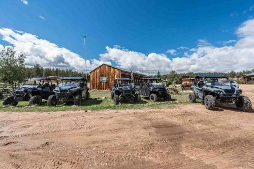 Cabin in Colorado National Forest at MLazyC ranch! thumb 4