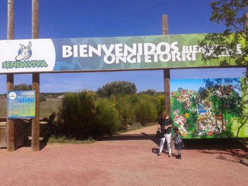 Ático Entero con Habitación en Corella