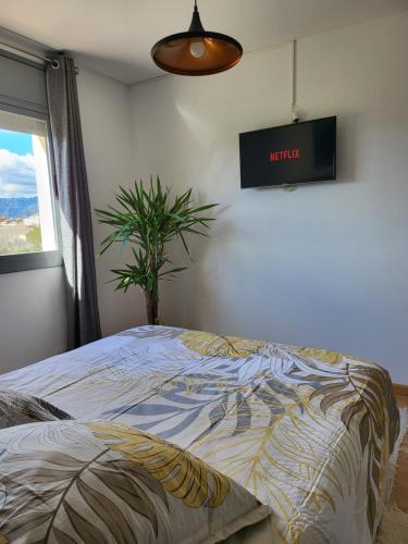 Apartamento VALLFOGONA Relax