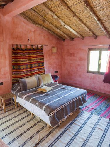 Riad Tabhirte in Agdz
