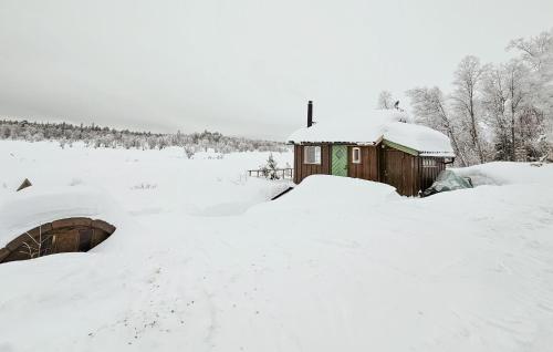 Cozy Home In Gol With Sauna - Location saisonnière - Golsfjellet