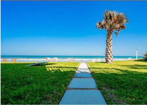 Pelicans Perch in Vilano Beach
