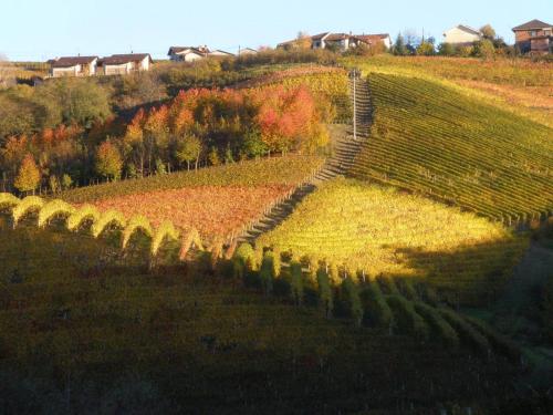 Cascina Delle Rose - image 4