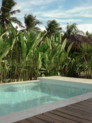 Single Fin Siargao