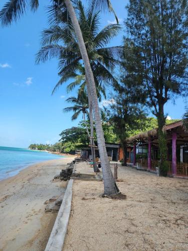 A Little Bungalows By Beach - image 5
