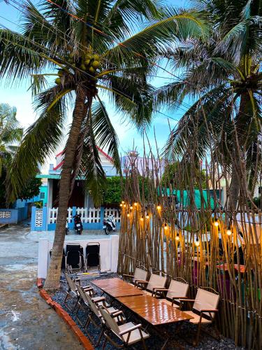 Dừa Homestay