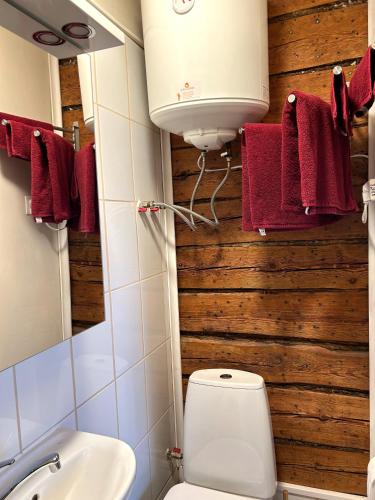 Garden Studio next to Telliskivi & Old Town Garden Studio next to Telliskivi & Old Town