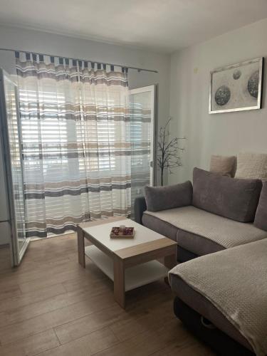 Apartment Davor