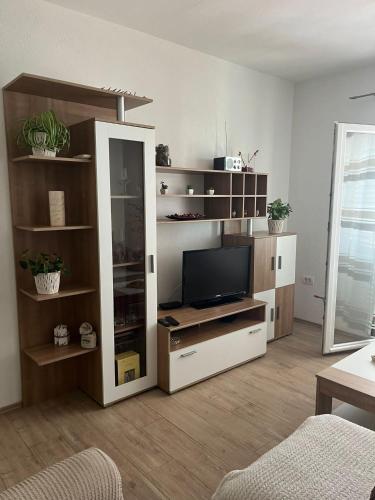 Apartment Davor