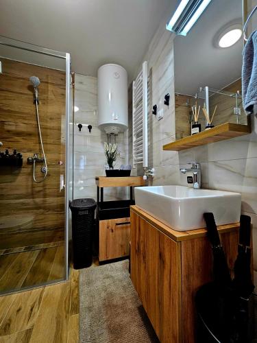 Borovi Deluxe Suite - image 4