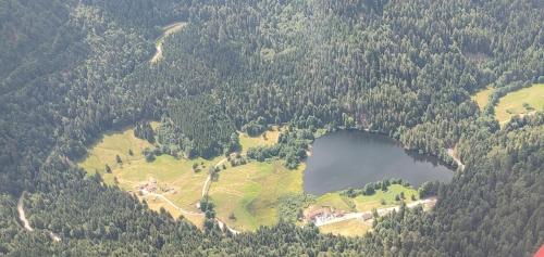 Chalet pour amoureux de la nature avec vue sur le lac de Retournemer - Xonrupt-Longemer