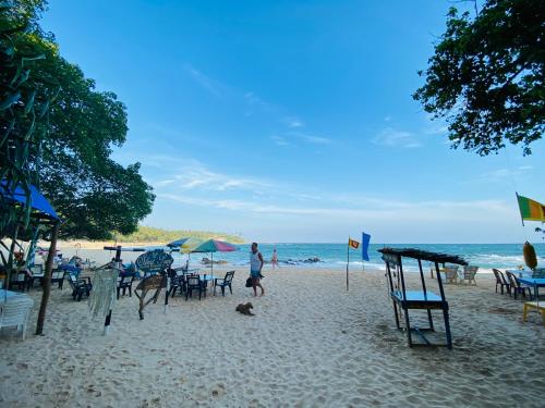 Chico Green - Tangalle - image 5