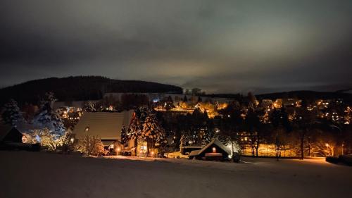 Waldblick in Tannenberg, Deutschland