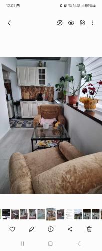 Roman Residence in Roman