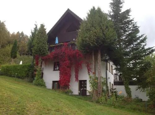 Waldblick in Tannenberg, Deutschland