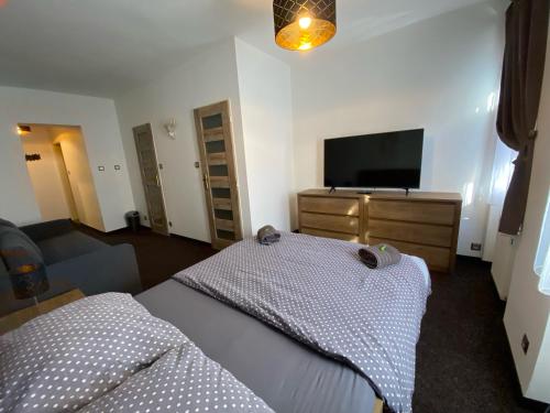 1 double bed, 1 sofa bed