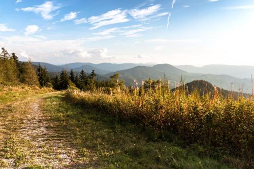 Ferienwohnung am Kapellenberg - am Rande des Nationalparks Schwarzwald