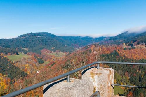 Ferienwohnung am Kapellenberg - am Rande des Nationalparks Schwarzwald