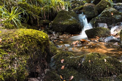 Ferienwohnung am Kapellenberg - am Rande des Nationalparks Schwarzwald