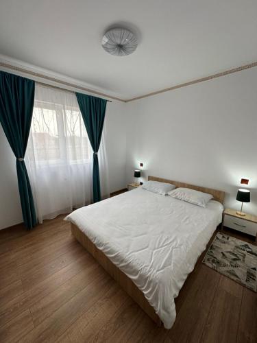 Apartament Pruneanu in Kampia Turzī