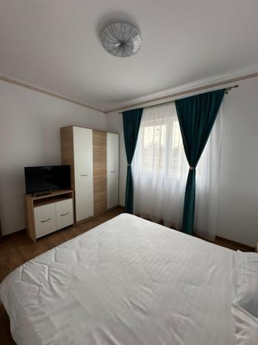 Apartament Pruneanu in Kampia Turzī