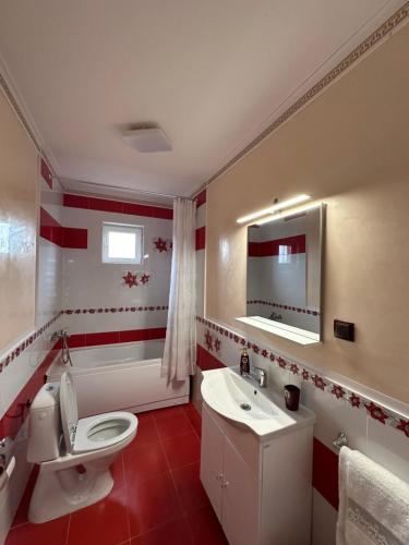 Apartament Pruneanu in Kampia Turzī