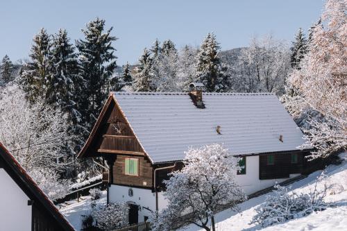 SCHILCHERLANDLEBEN - Kirchberg