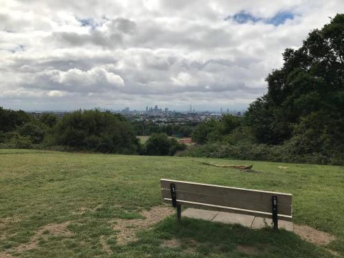Garden Flat With a Heath Views & London Skyline - Pass the Keys - image 2