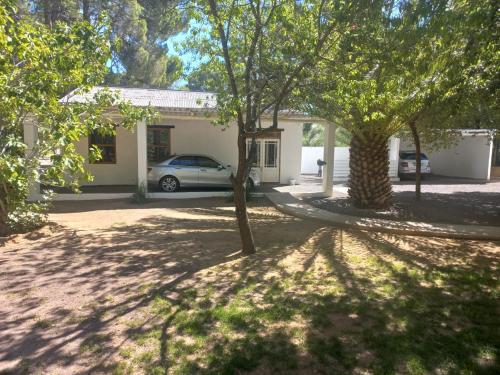 Loxton Nessie in Loxton