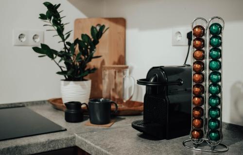 Létesítmények, Molnár Apartment (Molnar Apartment) in Gosztola