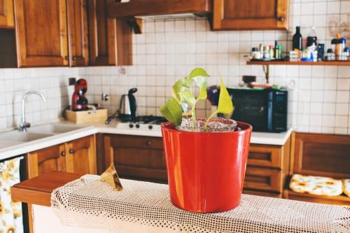  Casa Mira - Ampio, fully equipped e zona tranquilla, Unterkunft in Triest